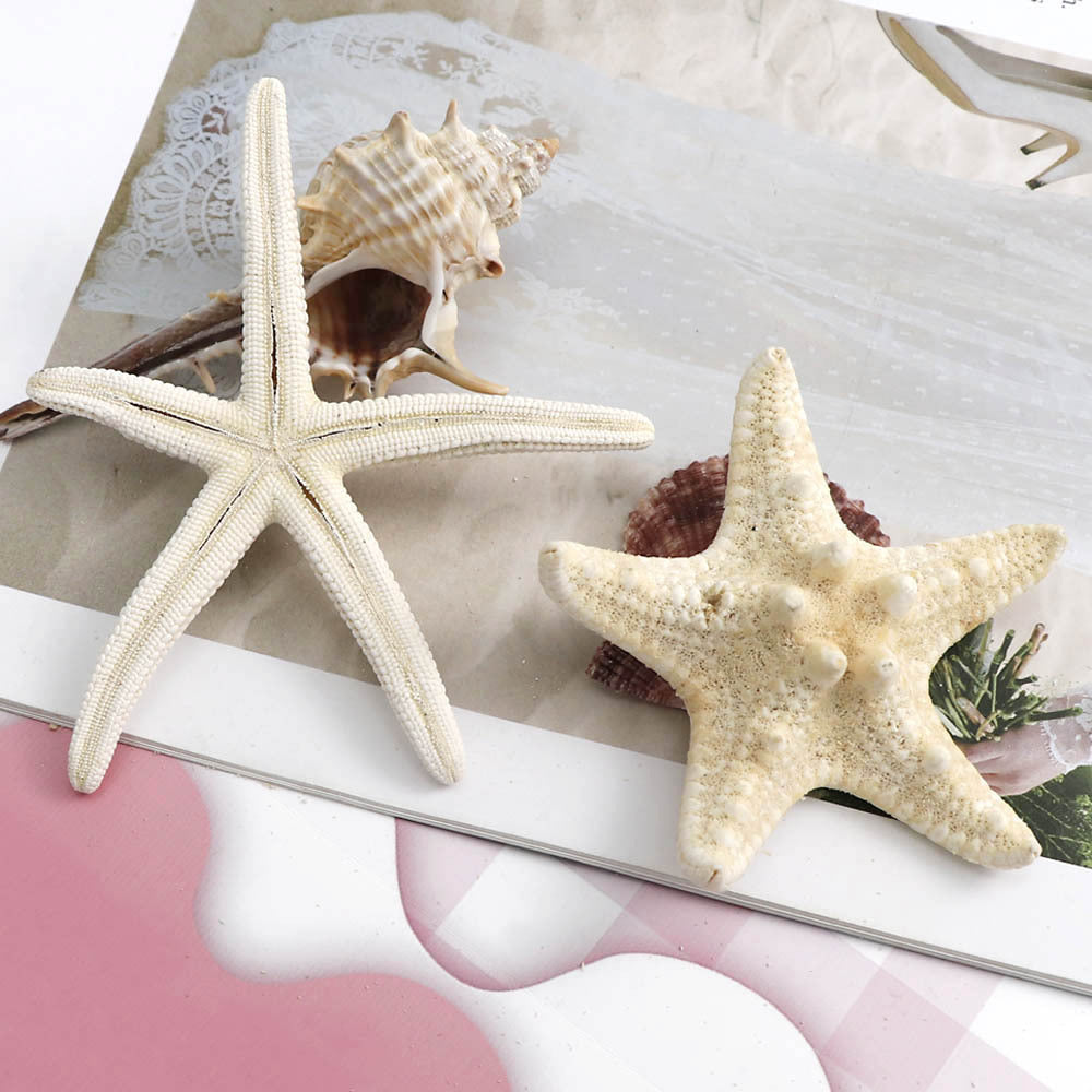Handmade Diy Material Fish Tank Micro Landscape Starfish Jewelry