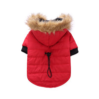 DZ172 Red