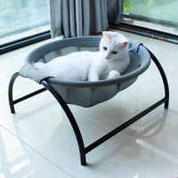 Grey cat lying in the nest