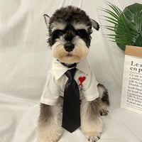 Tie