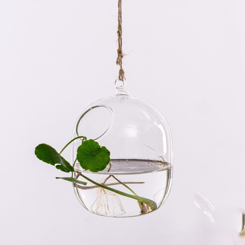 Creative Hydroponic Plant Aquarium Hanging Transparent Glass Vase