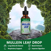Mullein Leaf Liquid Drops