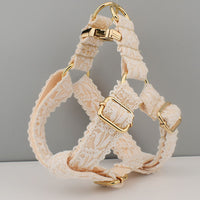 Harness gold buckle