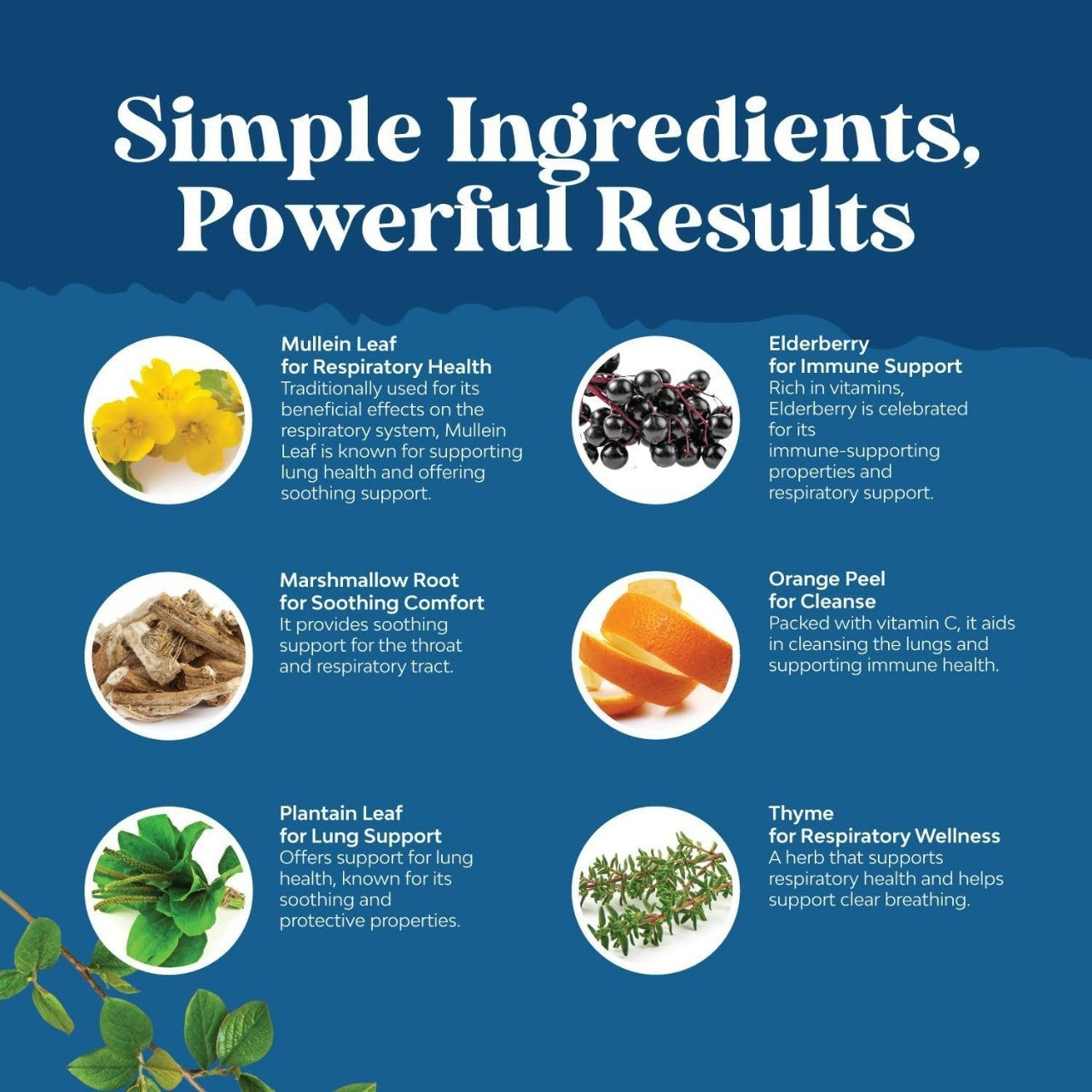 Lung Cleanse Drops
