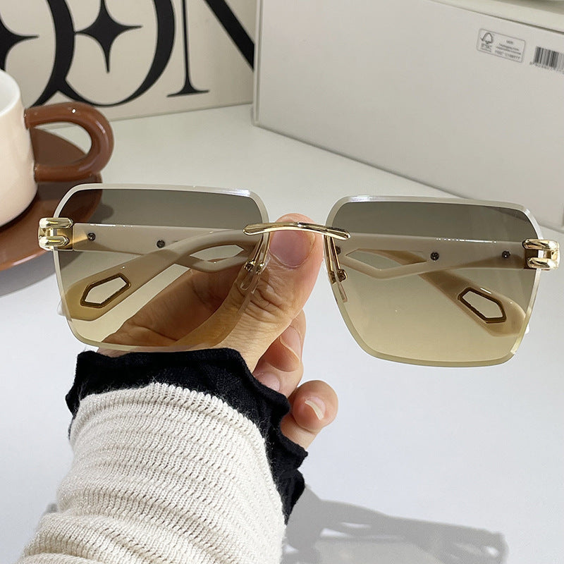 Street Style Trendy Trimming Sunglasses – INS Fashion Statement Eyewear