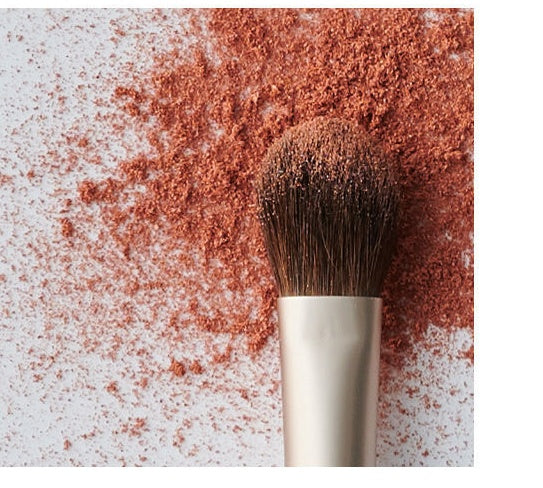 Mixed Hair Makeup Brush Set – Foundation, Concealer & Cover Brushes