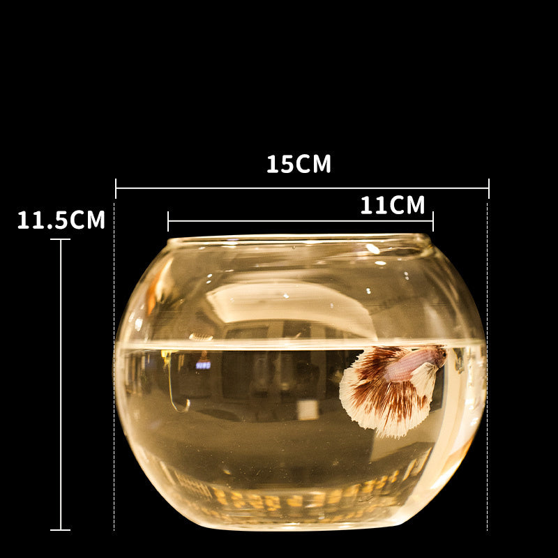 Small Round Transparent Glass Fish Tank Living Room