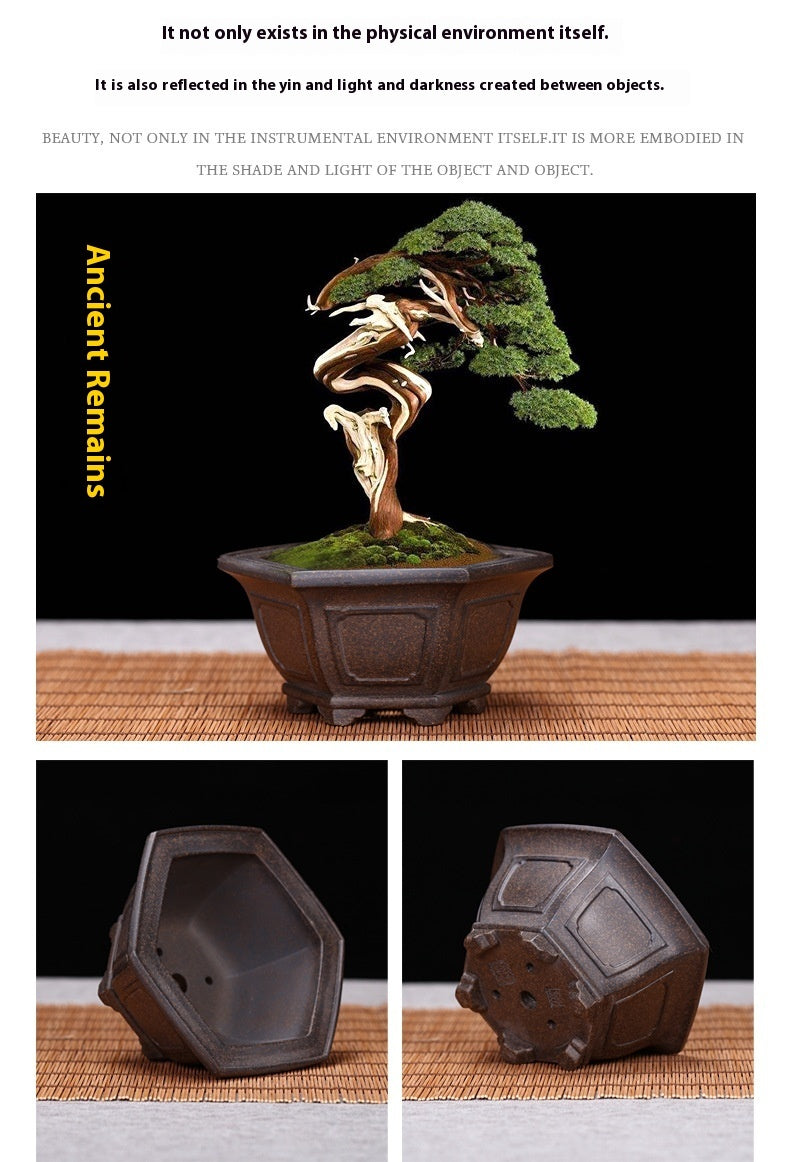 Purple Sand Flowerpot Hexagonal Square Classical Ceramic Gardening