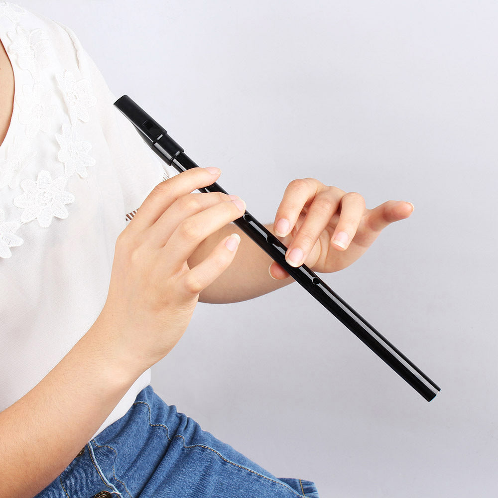 Getting Started Flageolet Playing Flute Playing Musical Instruments