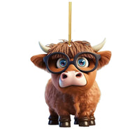 Highland Cattle 9