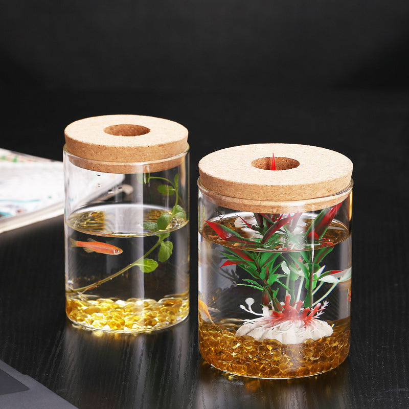Ecological Bottle Micro Landscape Fish Tank
