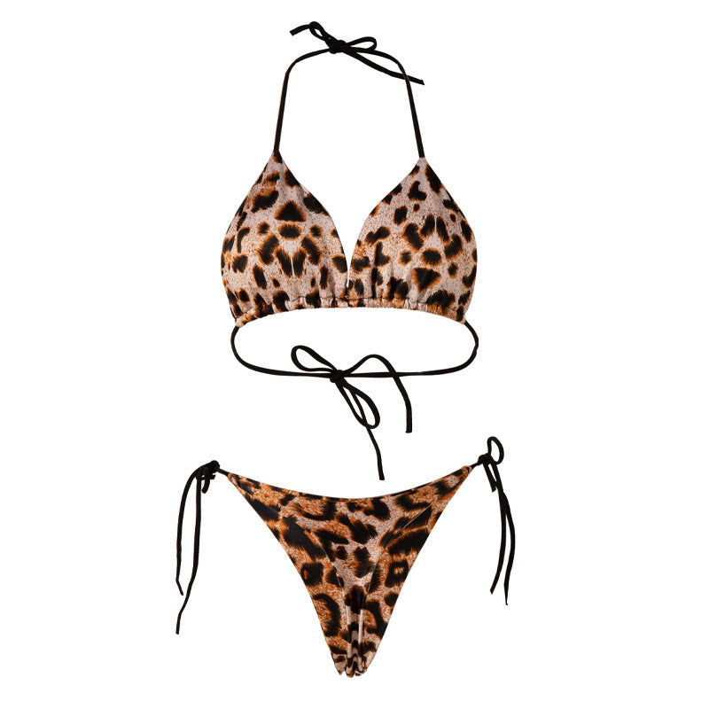 Women's Milk Silk Polyester Bikini Set Briefs Beachwear