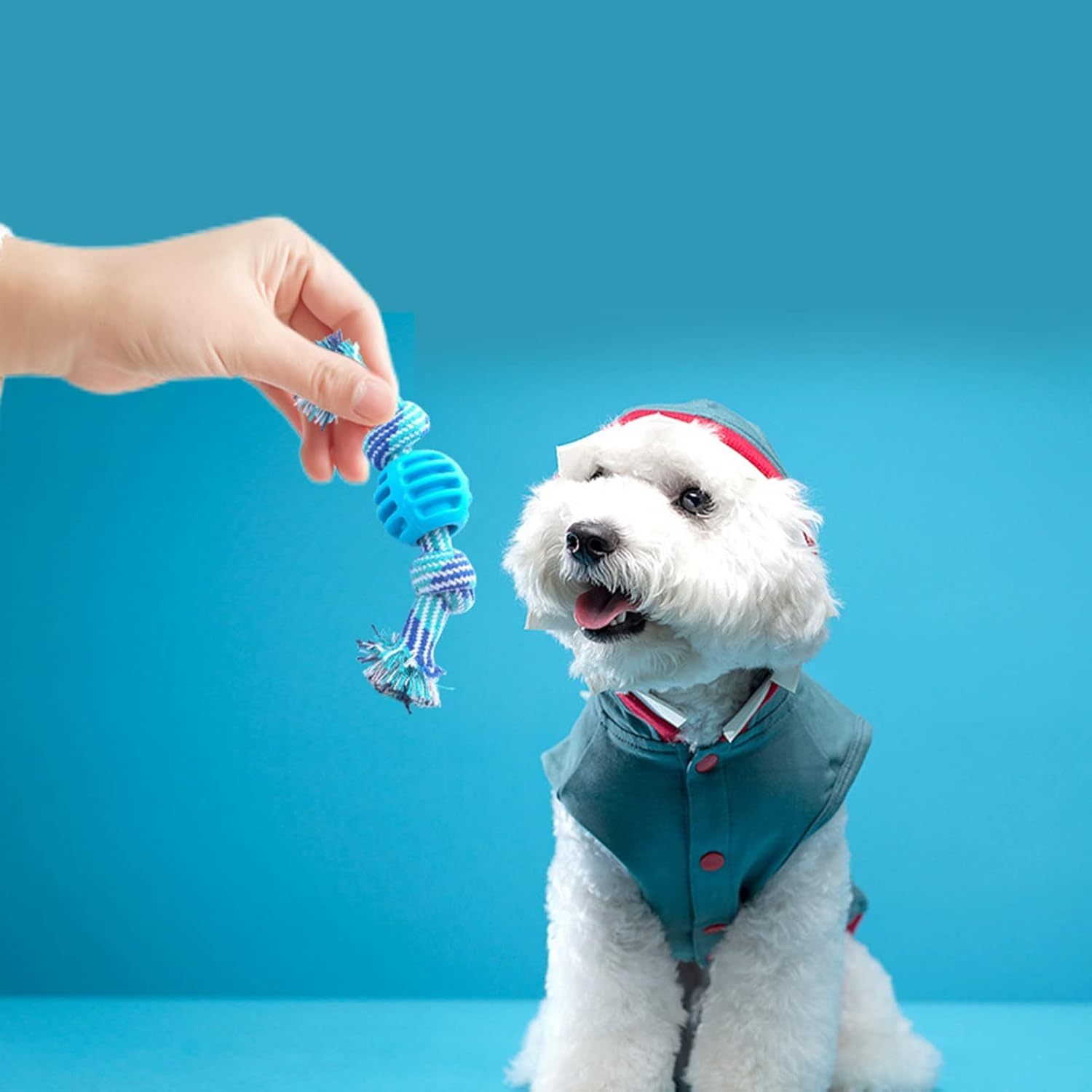 Durable Blue Soft Rope Dog Chew Toy for Teeth Cleaning and Oral Health
