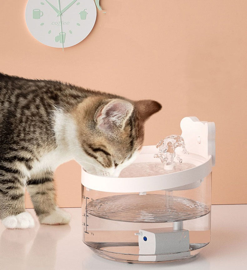 Three Generations Of Cat Water Dispensers Circulate Automatically