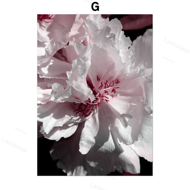 Peony Flower Wall Art – Elegant Canvas Painting for Home Decoration