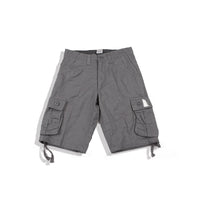 Light Gray