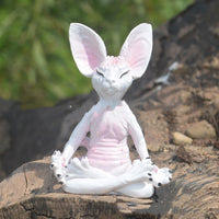 Meditating cat white