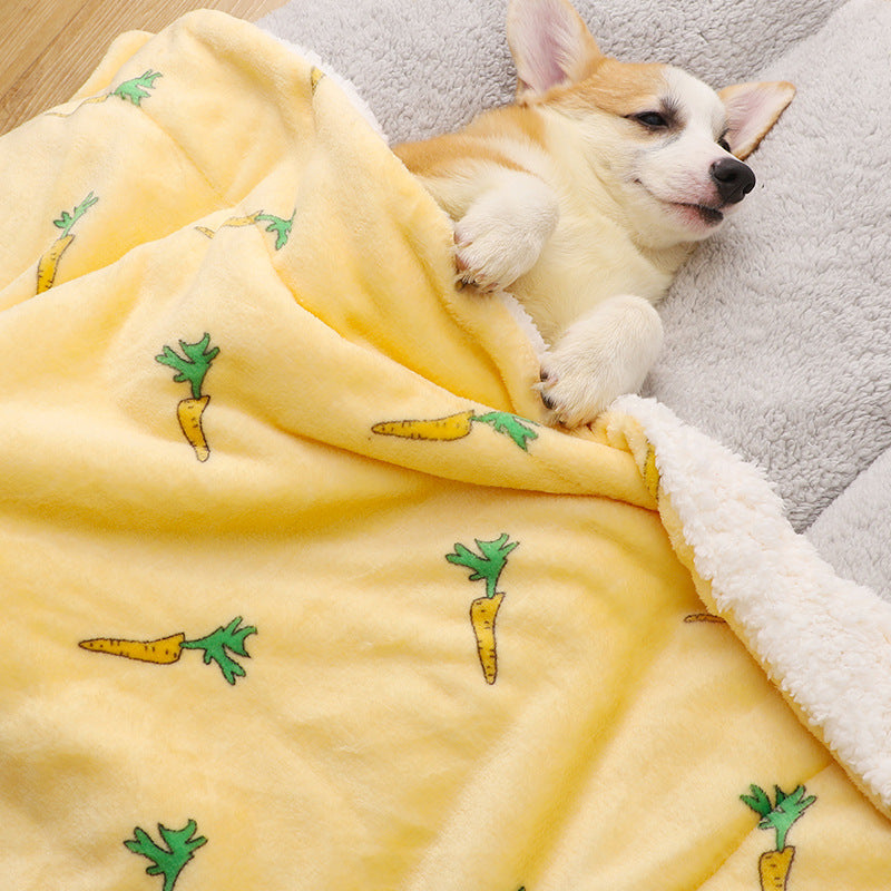 Pet Floor Mat For All-weather Warmth