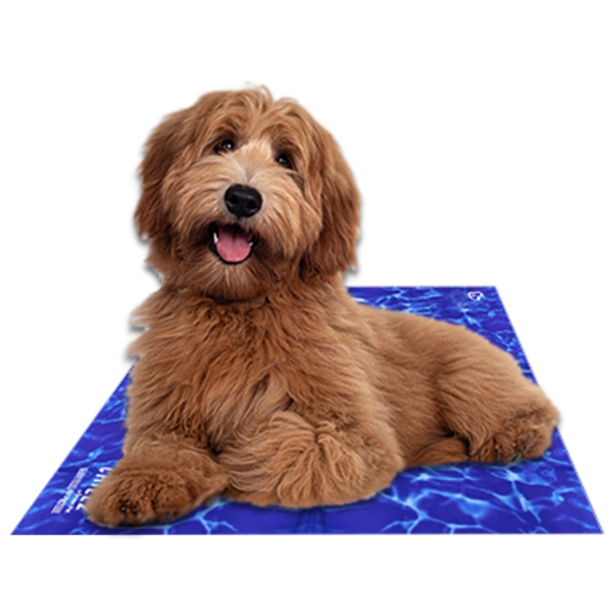 Chillz Non-Toxic Cooling Gel Mat for Pets