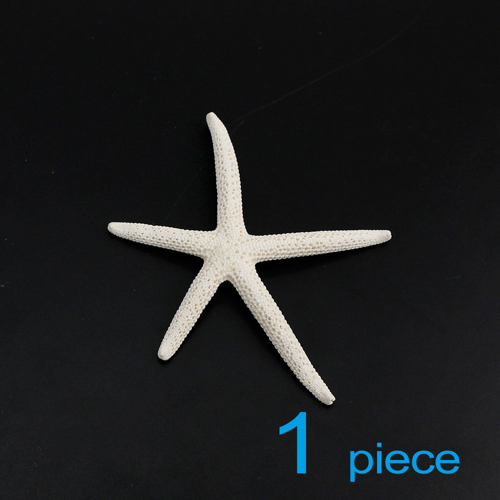 Handmade Diy Material Fish Tank Micro Landscape Starfish Jewelry