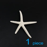 1starfish