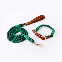 Suit dark green