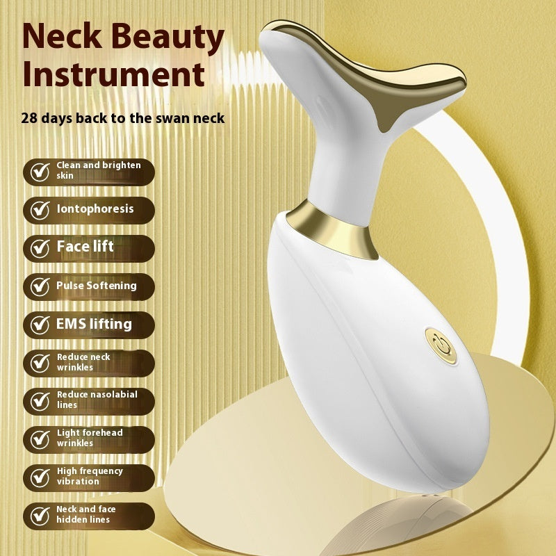 Electric Facial Massager – Household Beauty Import Instrument
