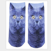 Blue cat
