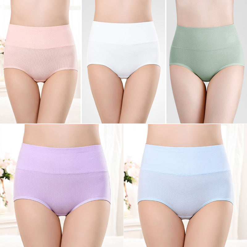 Women’s High-Waist Shaping Underwear – Control Briefs (Plus Size)
