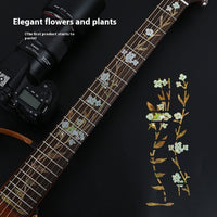 Elegant Flowers And Plants