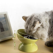 Ceramic Bowl For Cats To Protect The Cervical Spine With Slanted Mouth