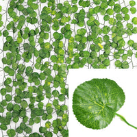 Begonia Leaves1 Pack Of 12