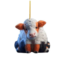 Highland Cattle 2