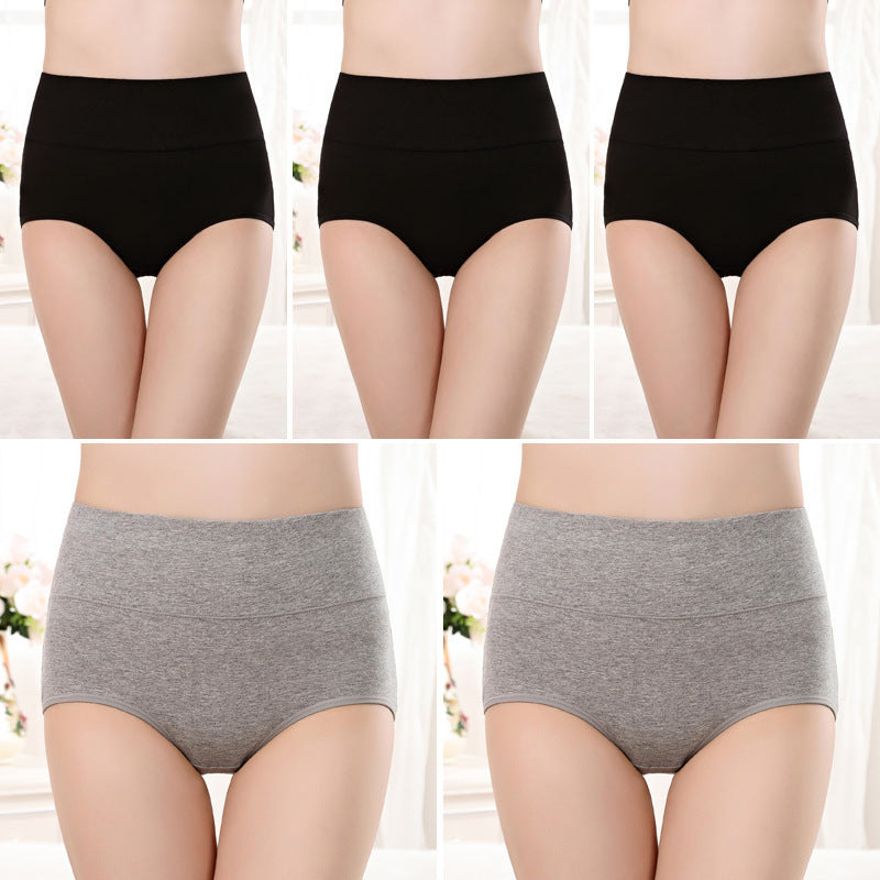 Women’s High-Waist Shaping Underwear – Control Briefs (Plus Size)