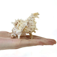 Small