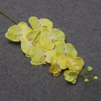 9heads long yellow