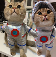 Astronaut