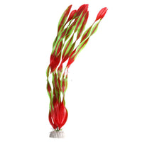 Kelp red