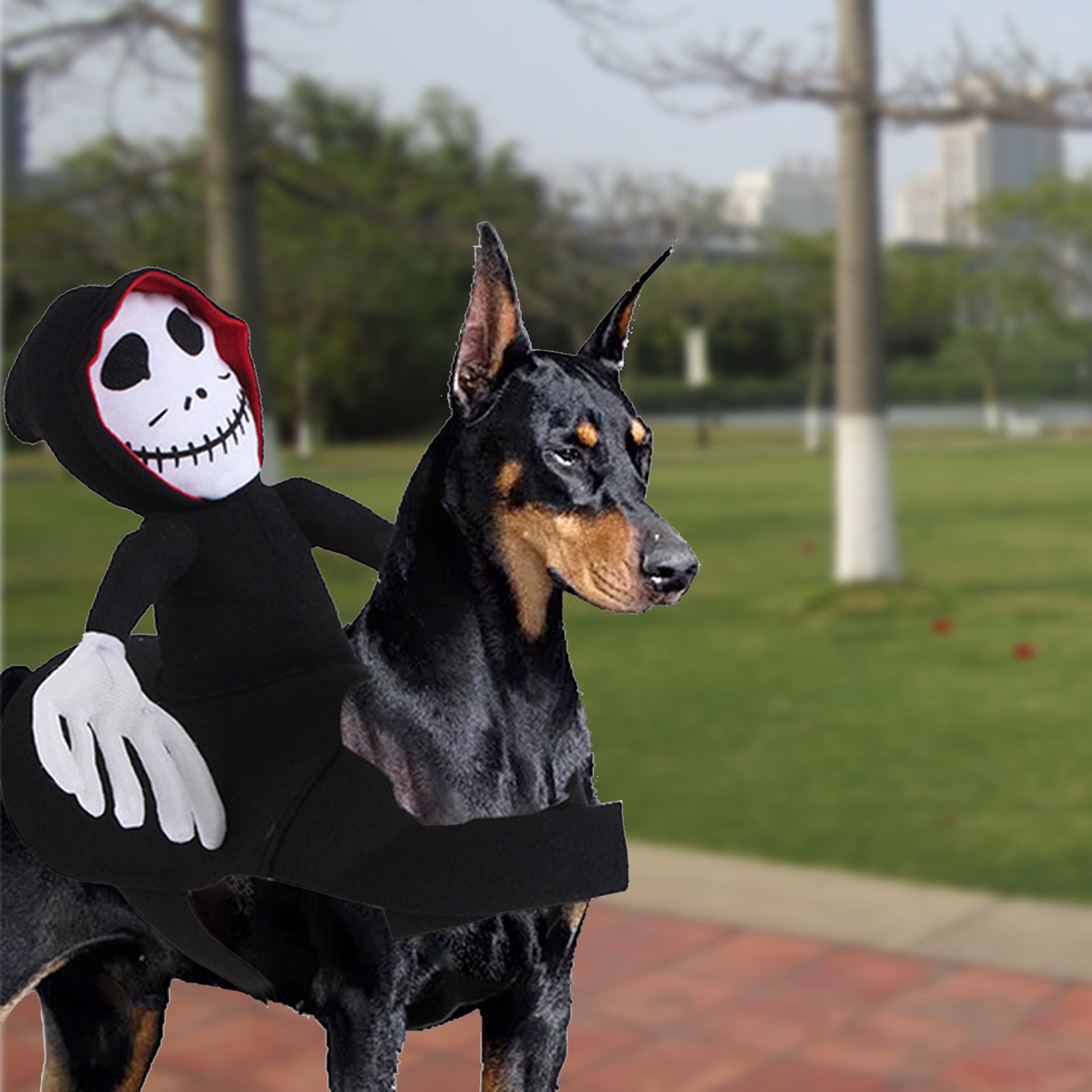 Halloween Pet Costume – Funny Spider or Pumpkin Vest Outfit for Dogs and Cats