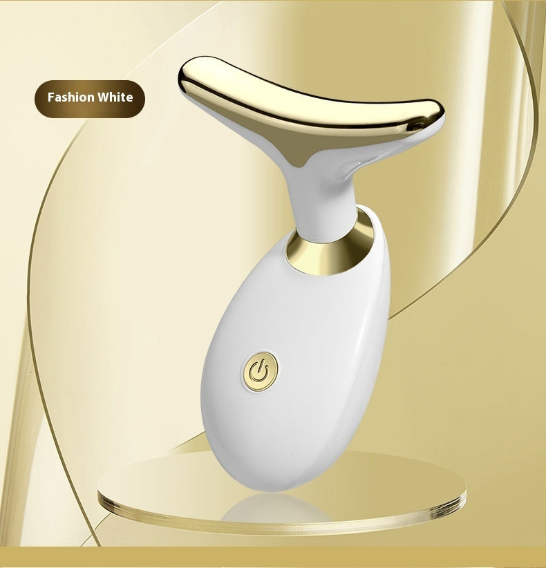 Electric Facial Massager – Household Beauty Import Instrument
