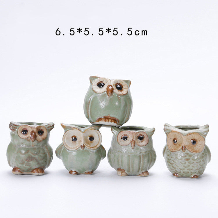 Owl Shape Garden Flower Pot Desk Plant Pot Creative Design