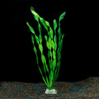 Small kelp green