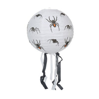 Spider Style With Beard