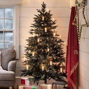 4.5V European Standard 30 Festive LED Battery String Lights