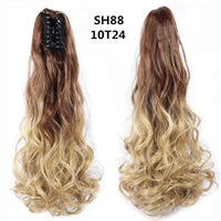 SH8810T24