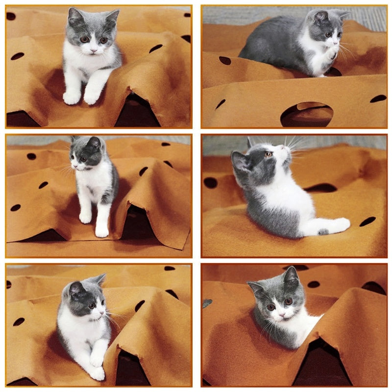 Cat Playing Mat & Training Activity Rug