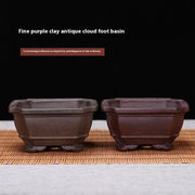 Purple Sand Flowerpot Hexagonal Square Classical Ceramic Gardening