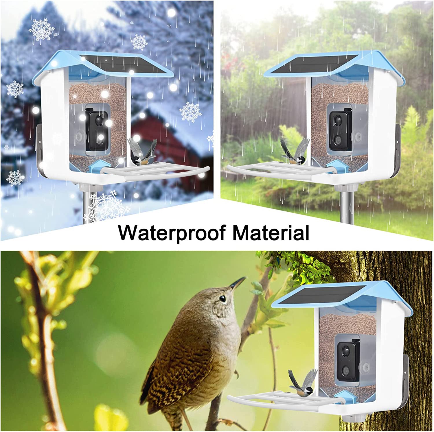 Smart Bird Feeder with AI Recognition Camera – Solar Powered