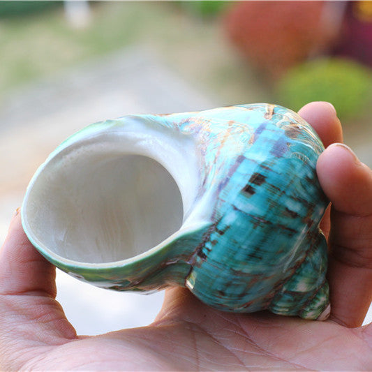 Natural Big Sea Conch Green Top Shell Fish Tank Aquarium Decoration Island Souvenir