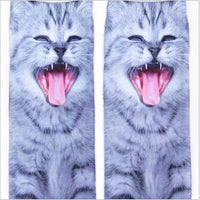 Laughing Cat